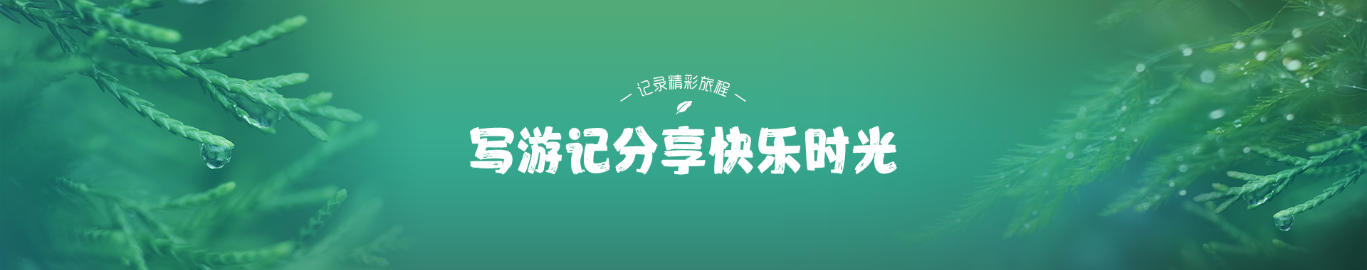 漠河旅游游记攻略-漠河环游旅行社 图 4