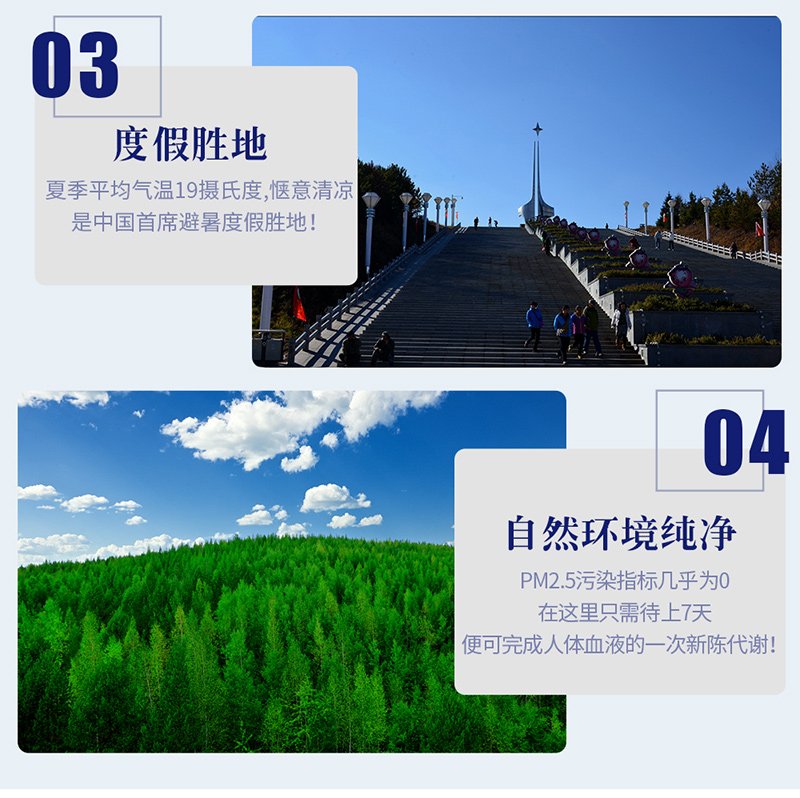 夏_漠河旅游_03