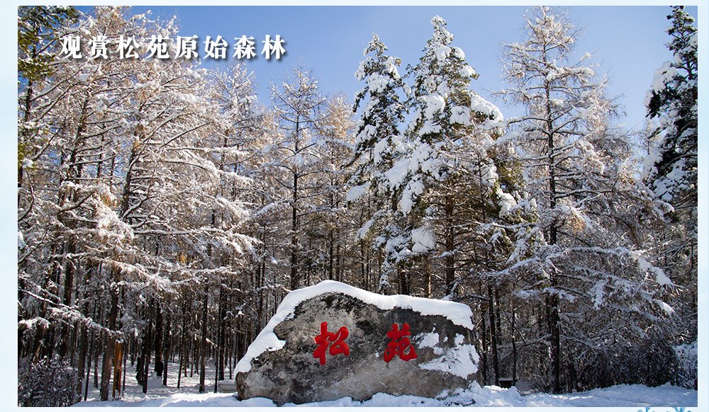 mo_wu_ha_7day_14