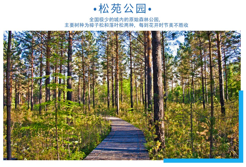 2024哈尔滨+漠河+北红村-北极村深度原生态4游_12